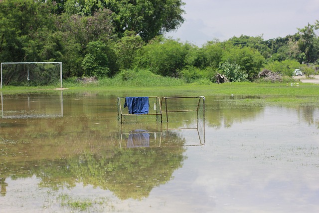 通过合理分 通过合理分