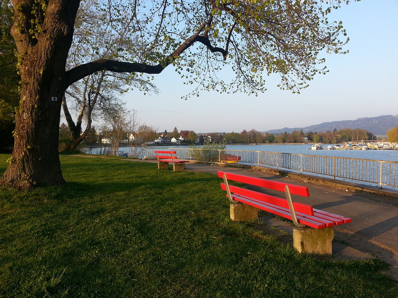 每名球员都 每名球员都