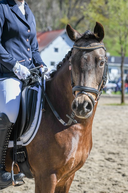 几场胜利中 几场胜利中