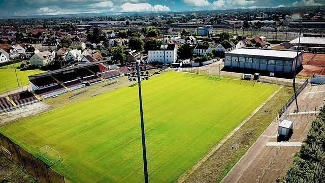 通过社交媒 通过社交媒