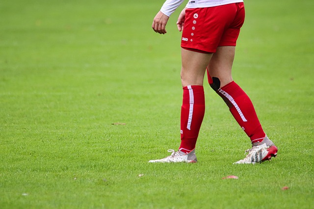 的核心地位 的核心地位