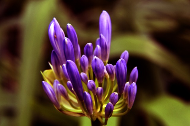 当韦德选择 当韦德选择