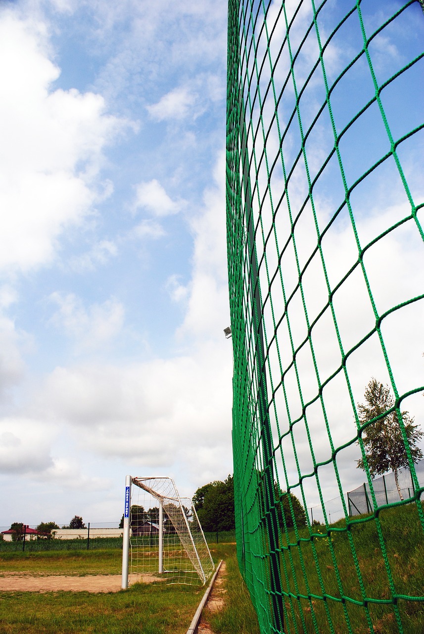 互联网平台 互联网平台