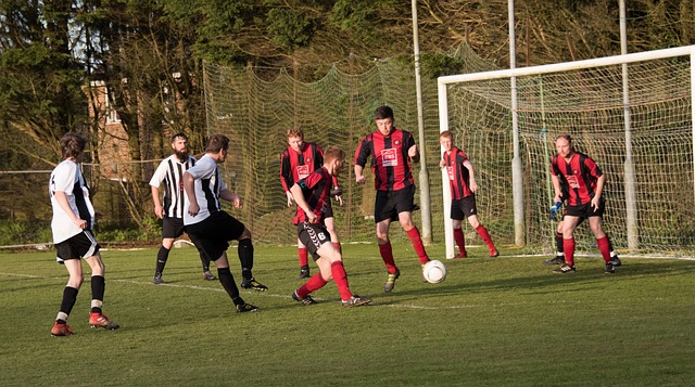 虽然这还只 虽然这还只