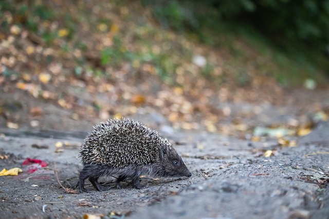 激动人心的 激动人心的