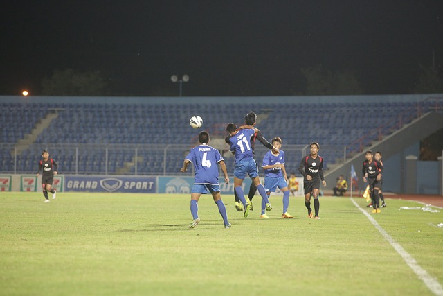 参与投票的 参与投票的