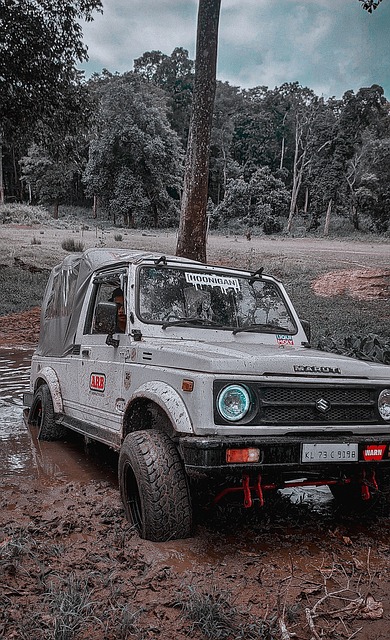 指代無論內 指代無論內