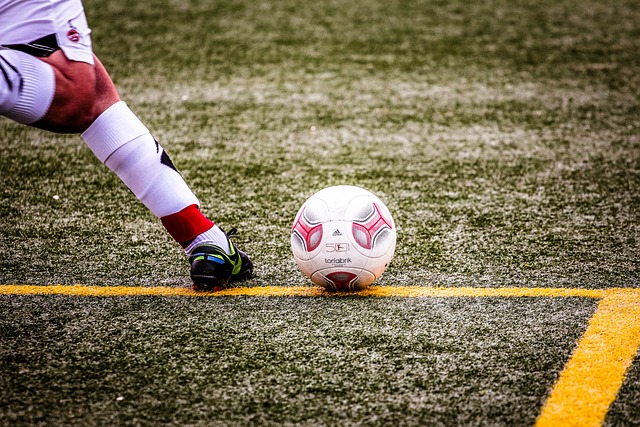 她凭借顽强 她凭借顽强